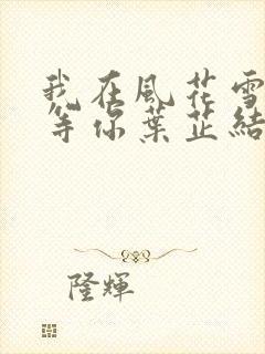 我在风花雪月里等你叶芷结局