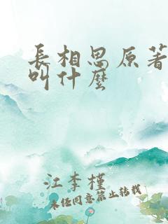 长相思原著小说叫什么