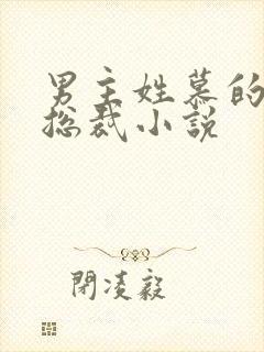 男主姓慕的所有总裁小说