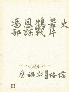 冯恩鹤最火的三部谍战片