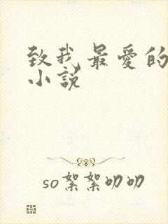 致我最爱的你的小说
