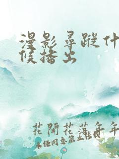 漫影寻踪什么时候播出