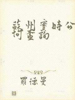 苏州实时公交如何查询