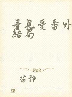 看见爱番外篇大结局