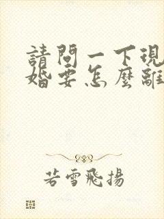 请问一下现在离婚要怎么离