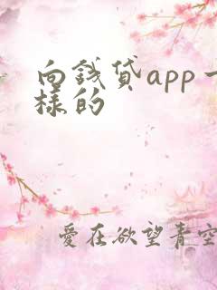 向钱贷app一样的