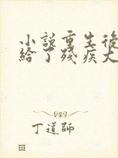 小说重生后我嫁给了残疾大佬