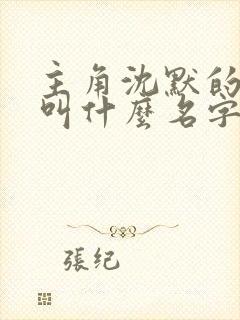 主角沈默的小说叫什么名字