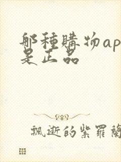 那种购物app是正品