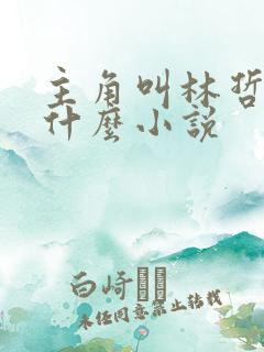 主角叫林哲的是什么小说