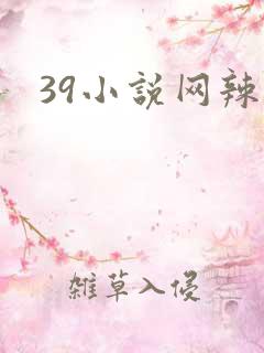 39小说网辣文