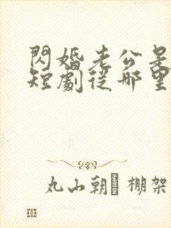 闪婚老公是总裁短剧从哪里看全片