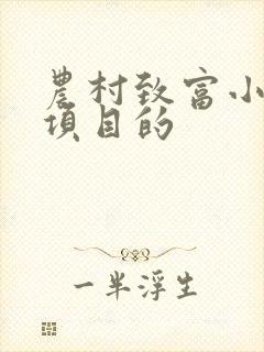 农村致富小创业项目的