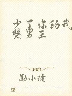 少了你的我台剧双男主