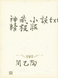 神藏小说txt精校版