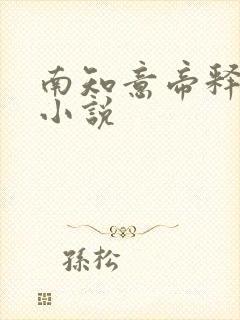 南知意帝释景的小说