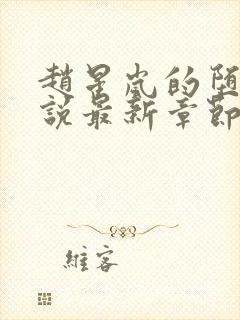 赵星岚的堕落小说最新章节更新