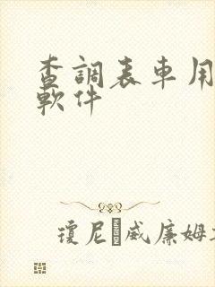 查调表车用什么软件