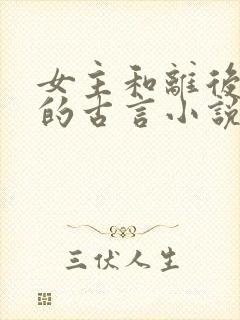 女主和离后二嫁的古言小说