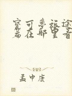 宝可梦旅途特别篇在哪里看