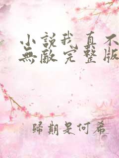 小说我真不想太无敌完整版未删减小说