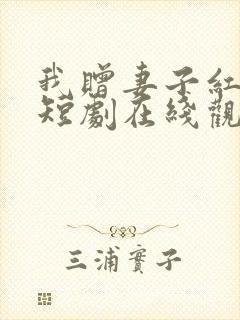 我赠妻子红缨枪短剧在线观看全集