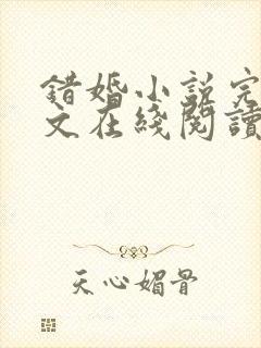 错婚小说完结全文在线阅读