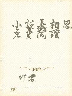 小说长相思桐华免费阅读