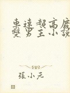 车速超高废文的双男主小说推荐完结