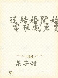 从结婚开始恋爱 电视剧免费观看在线