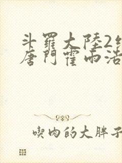 斗罗大陆2绝世唐门霍雨浩