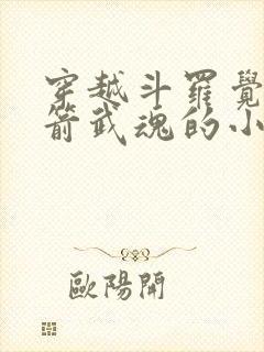 穿越斗罗觉醒弓箭武魂的小说