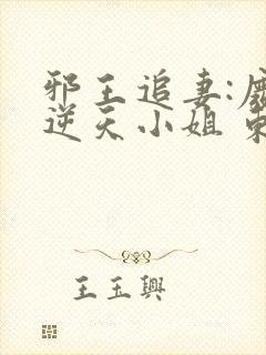 邪王追妻:废材逆天小姐 东泽长宫主*