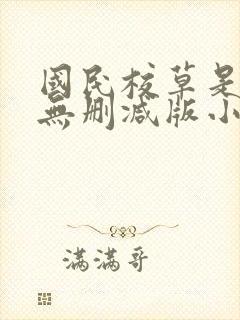 国民校草是女生无删减版小说