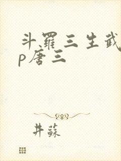 斗罗三生武魂cp唐三