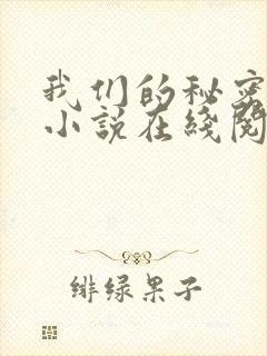 我们的秘密原著小说在线阅读