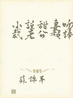 小说甜妻吻安总裁老公超棒的