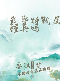 武警特战属于特种兵吗