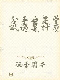 分手也是曾经相识过是什么歌?