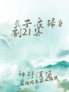 《子夜归》电视剧21集