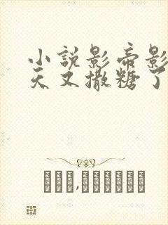 小说影帝影后今天又撒糖了txt