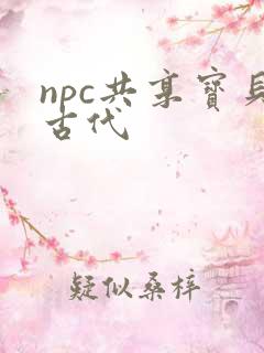 npc共享宝贝古代