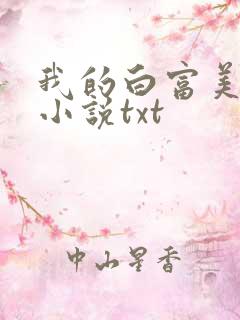 我的白富美老婆小说txt