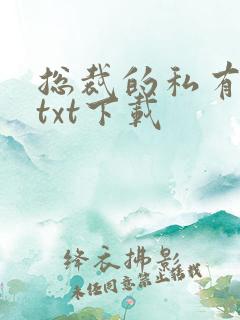 总裁的私有宝贝txt下载