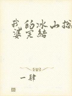 我的冰山总裁老婆完结