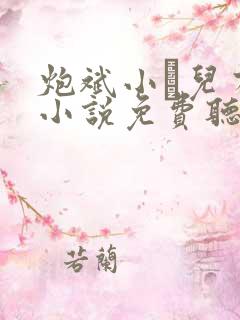 炮斌小苮儿有声小说免费听书