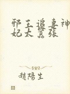 邪王追妻神医狂妃太嚣张