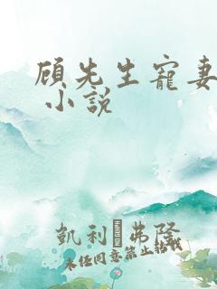 顾先生宠妻有度 小说