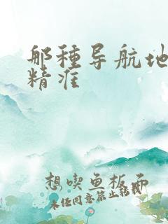 那种导航地图最精准