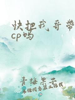 快把我哥带走有cp吗